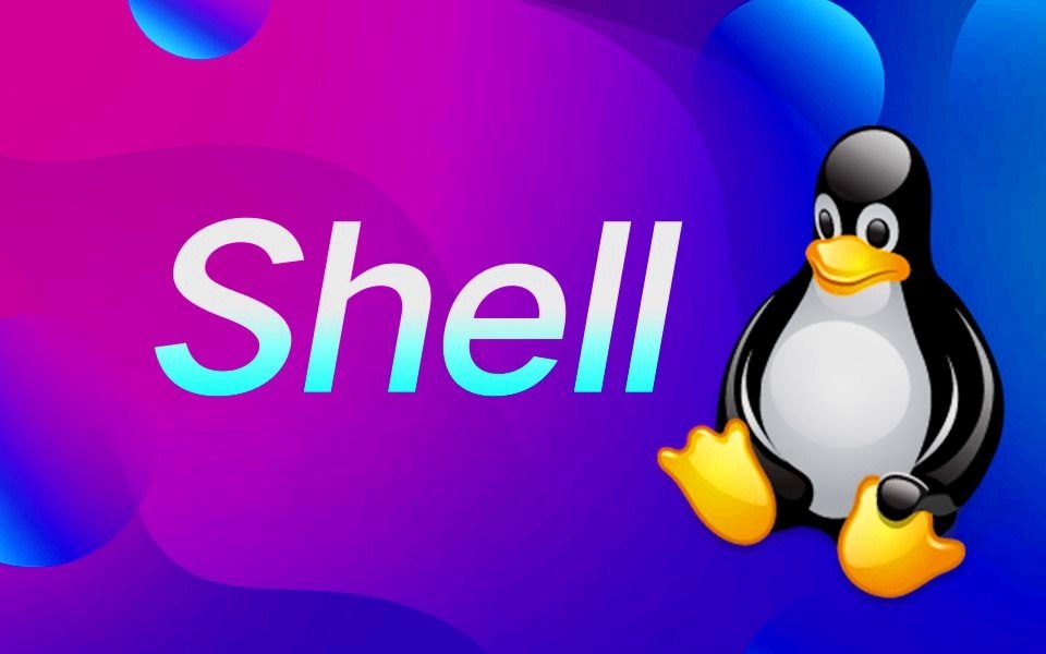 常见的Shell脚本